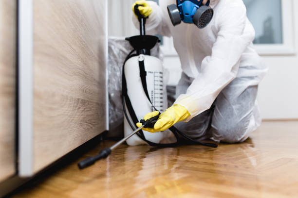 Wasp Removal Services in Upper Fruitland, NM
