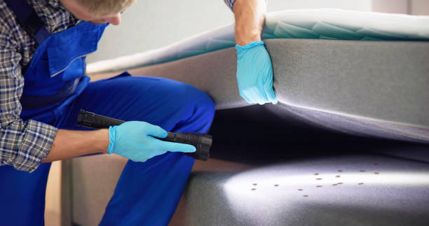 Best Flea Control Services  in Upper Fruitland, NM