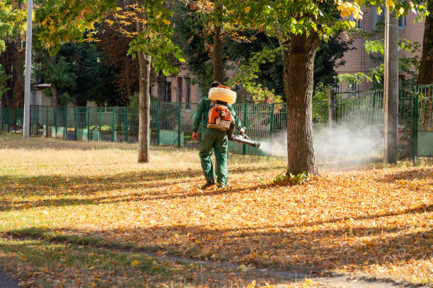 Best Emergency Pest Control  in Upper Fruitland, NM