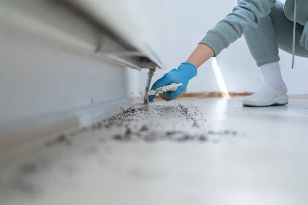 Best Pest Inspection Near Me  in Upper Fruitland, NM