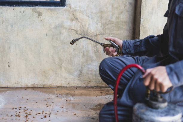 Best Pest Prevention Services  in Upper Fruitland, NM
