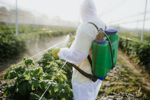 Best Commercial Pest Control Services  in Upper Fruitland, NM